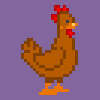 The Chicken